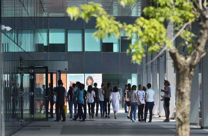 Fenomenul industriei IT: un succes prea mare pentru o țară atât de nepregătită