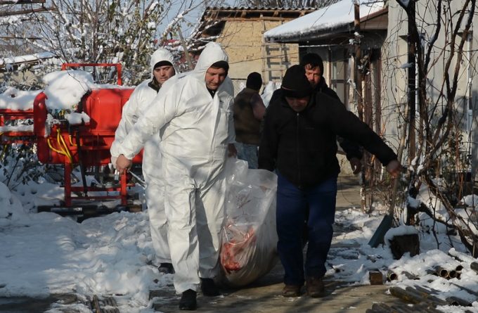 Șeful DSV Dâmbovița iubește și funcția, și afacerile: “Cu cine să faci afaceri dacă nu în familie?”