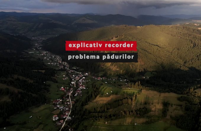 Cum ni se fură pădurile și ce ar trebui să facă statul ca să-i oprească pe hoți